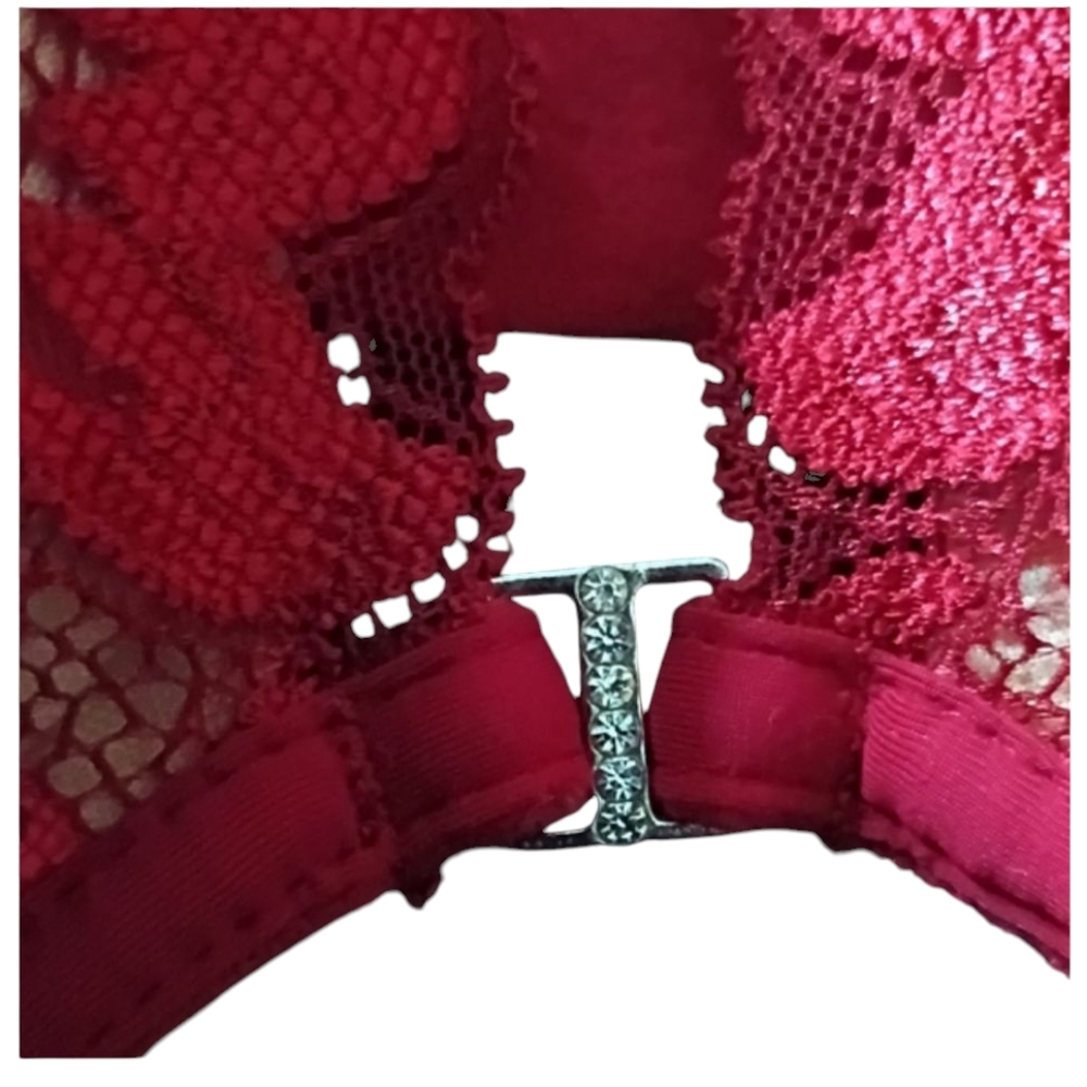 Adore Me Red Lace Pushup Bra - Picture 5 of 6